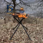 باربیکیو پارمیس مدل BBQ 412
