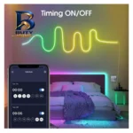 ریسه نئون دریم لایت مدل برنامه پذیر با طول ۵متر و آداپتور