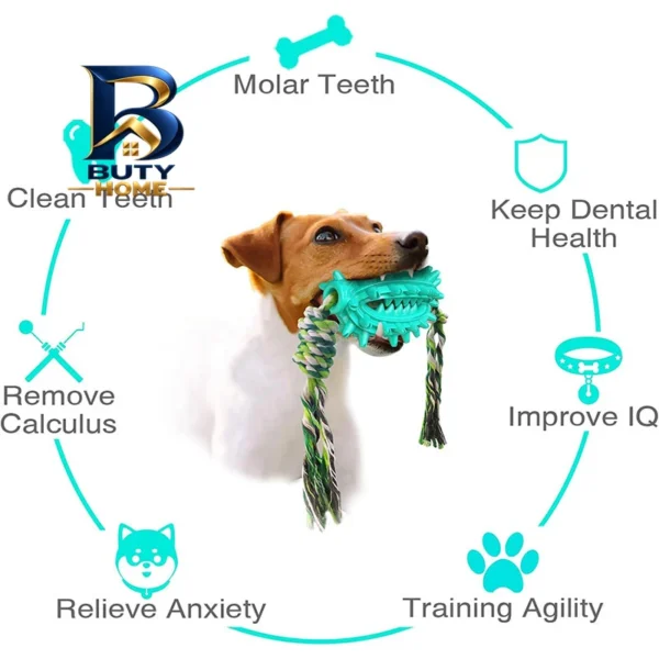 اسباب بازی سگ دندانی مدل Cactus Molar Chew Toy