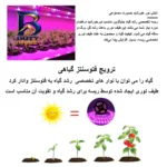 ترمینال ریلی مدل RTP۲.۵ بسته ۵ عددی اصل
