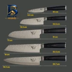 سرویس چاقو آشپزخانه ۵ پارچه کوکینگ فلیم مدل SW Pro 5