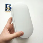 چراغ حیاطی ۲۲ وات نیرو الکتریک مدل واترپروف IP۶۶ طرح روکار بیضی اصل