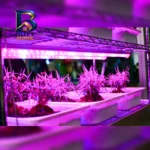 لامپ رشد گیاه 7 وات مدل فول اسپکتروم 220v طرح ال ای دی بسته 2 عددی
